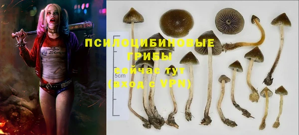 винт Арсеньев