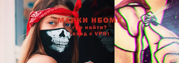 твердый Аркадак