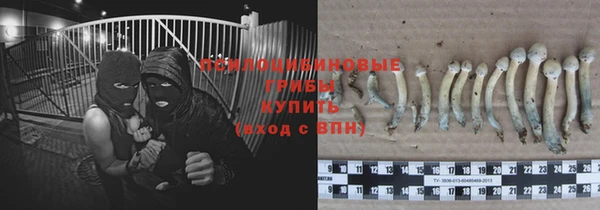 винт Арсеньев
